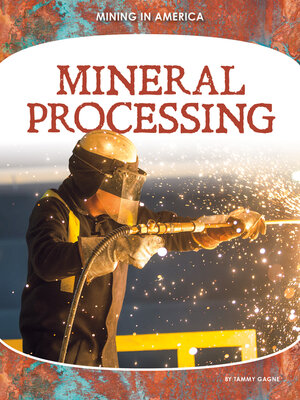 cover image of Mineral Processing